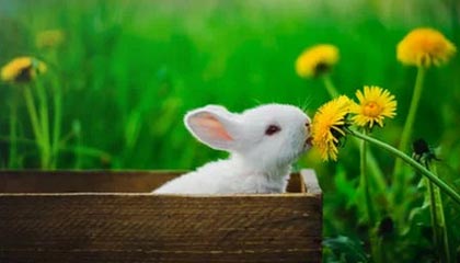 mk体育官方网站入口🏀字母哥25+12 利拉德29+9+11 韦尔22+10 雄鹿大胜热火